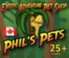 Phil’s Pets